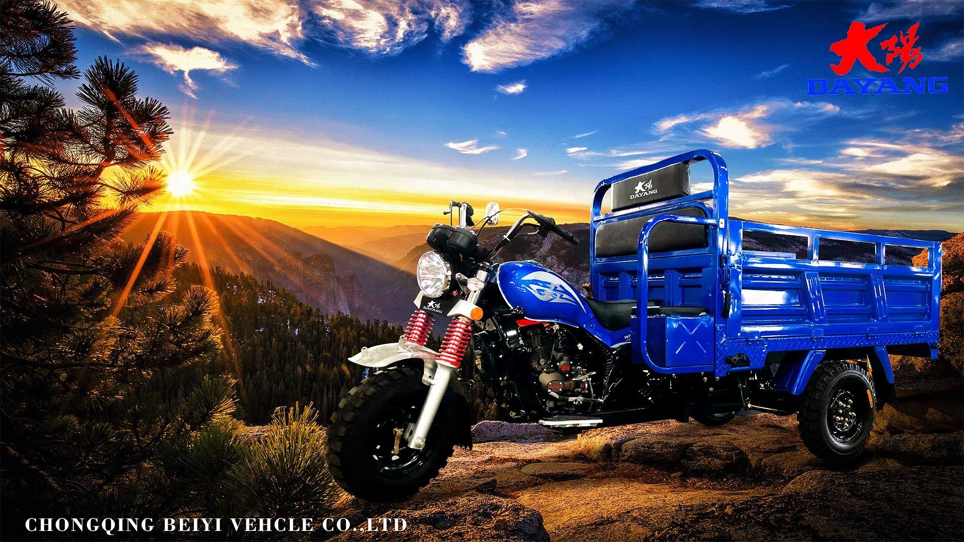 4 Stroke Cargo Tricycle Motorcycle with 200CC Engine and Maximum Speed of ≥70Km/h