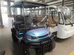 Blue Purple Color 4 Seater Golf Cart New Design Motor Depot AC Motor 3.5kw