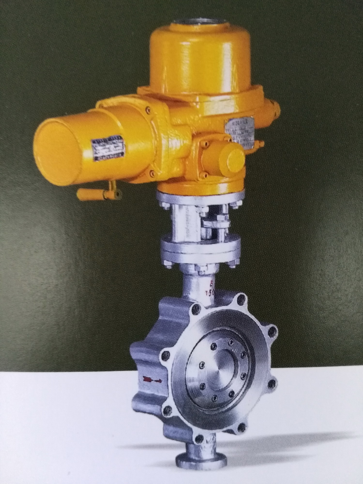 Forged Casting Steel Material Lug Type Butterfly Valve BSEN 12266 Test and Inspection