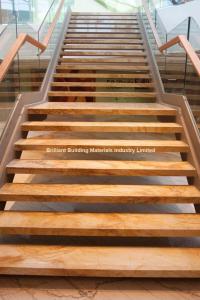 Quality Luxury Gold Macaubas Quartzite Stairs(Treads/Rasiers) wholesale