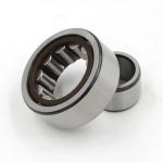 NJ202ECP Cylindrical Roller Bearing NJ202ECP Size 15*35*11mm