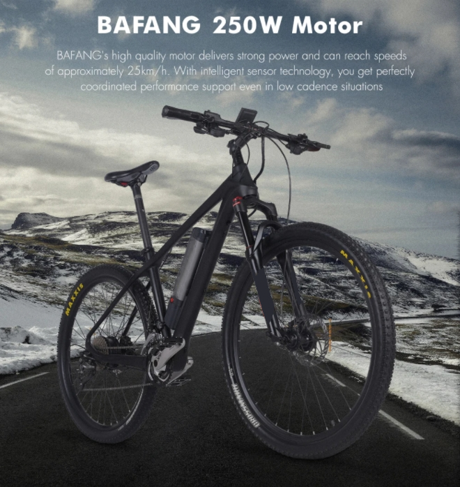 30 - 50Nm Torque Carbon Fibre Electric Mountain Bike With 250W Rear Hub Motor 27 Speed