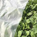 Landscape 20gsm Non Woven Plastic Mulching Film