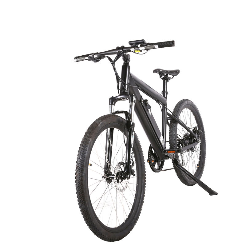 7 Speed Gears and Torque of 30-50 Nm Electric City Bicycle for Man at Affordable