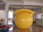 Hot Air Balloon Price / Customized Inflatable Advertising Balloons / Helium