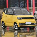 HOT China Medium and large 5-door 7-seat SUV China-made new energy vehicle