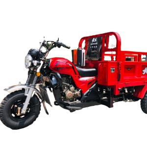 Quality Red DAYANG 2021 Heavy Loading Truck Tricycle 150CC/175CC/200CC/250CC Motorized Tricycle wholesale