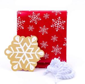 Quality Recyclable Colorful Plastic Gift Wrap Bags , Jumbo Christmas Gift Bag wholesale