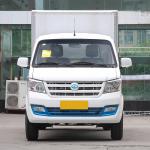 Ruichi EC31 Pure Electric Small Cargo Container Truck Commercial Vehicle