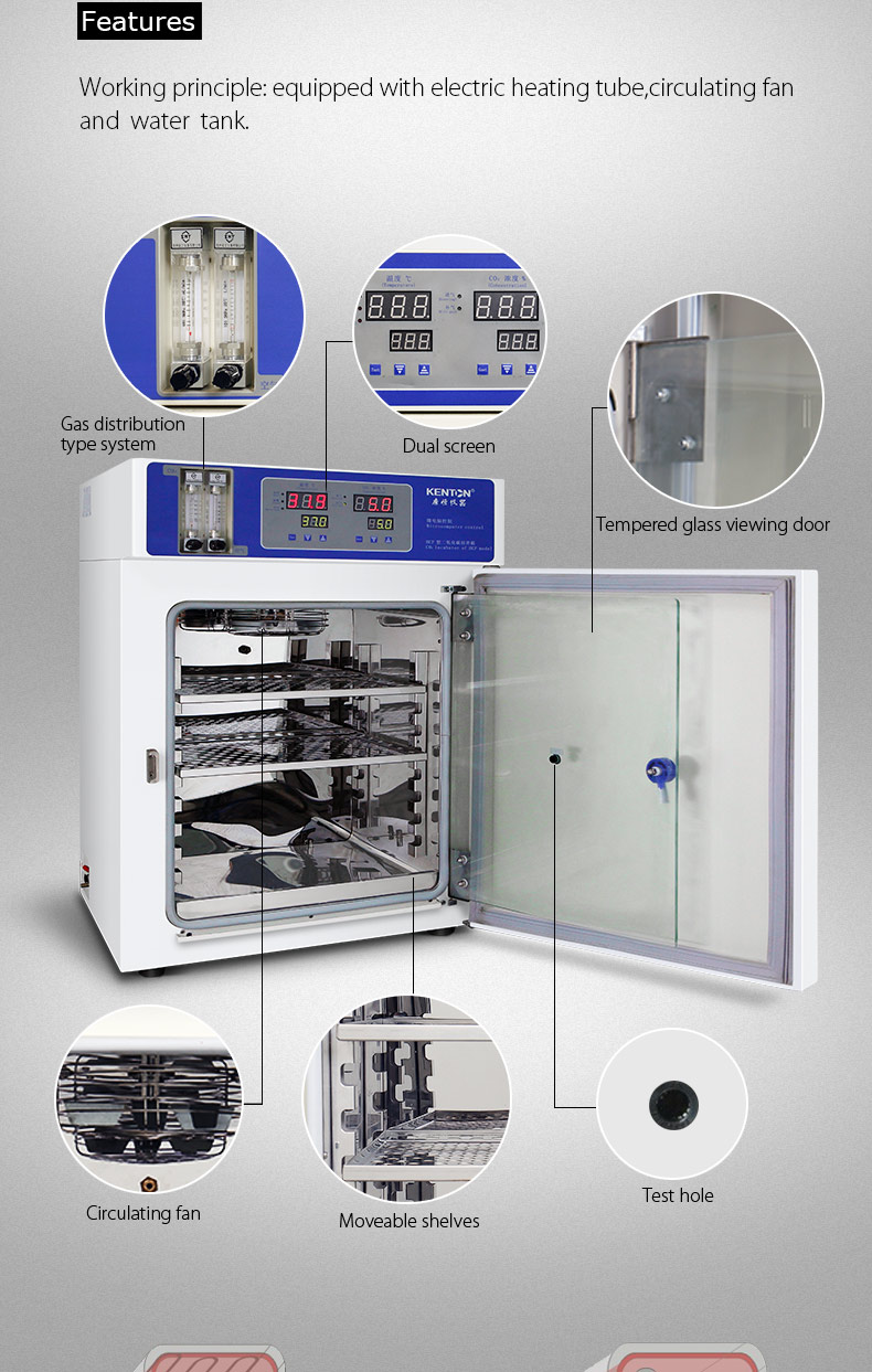 PID CO2 Incubator For Cell Culture Microorganism Cell Incubators