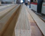 poplar LVL & pine LVL & LVL scaffolding plank
