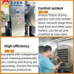 Vacuum Freeze Dehydration Machine for Syrup Fruit Meat Fish Vegetable and Flower