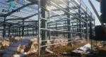 H-Section Steel Poultry House Prefab Metal Steel Structure CE