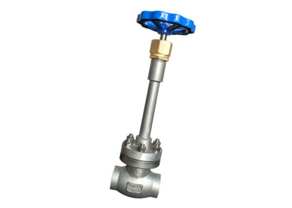 Cryogenic Globe Control Valve Cast Steel Or Stainless Steel Or Customize