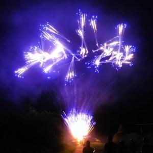 Quality Outdoor Fireworks Consumer Cake Fireworks For Festival wholesale