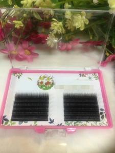 Quality Handmade Natural Silk Eyelash Extensions / 3d Beauty Lash Extensions wholesale