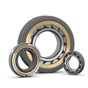 Quality P6 NU 204 ECP SKF Roller Bearings With Catalogue wholesale