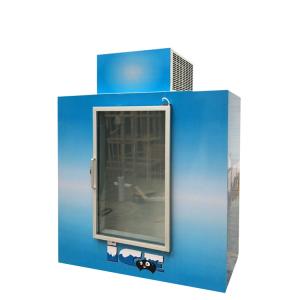 Quality Upright Bagged Ice Storage Bin with Single Glass Door wholesale