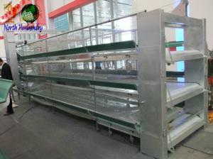 Quality poultry cages for egg layer farm wholesale