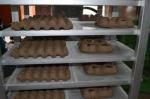 Recycled Paper Pulp Molding Machine For Egg Tray / Fruit Tray / Bottle Tray