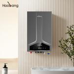 Delivery To Door Tankless Gas Water Heater with Oxygen Free Copper Water Tank