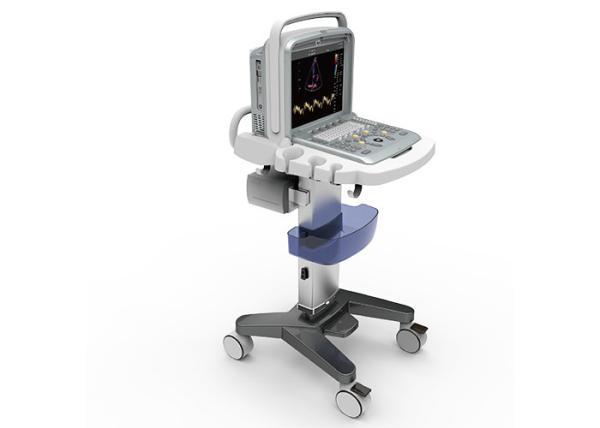 2 USB Ports Portable Ultrasound Scanner Color Doppler With 15 Inch LCD Large