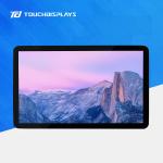 21.5 Inch Interactive Digital Signage Display 250cd/M2