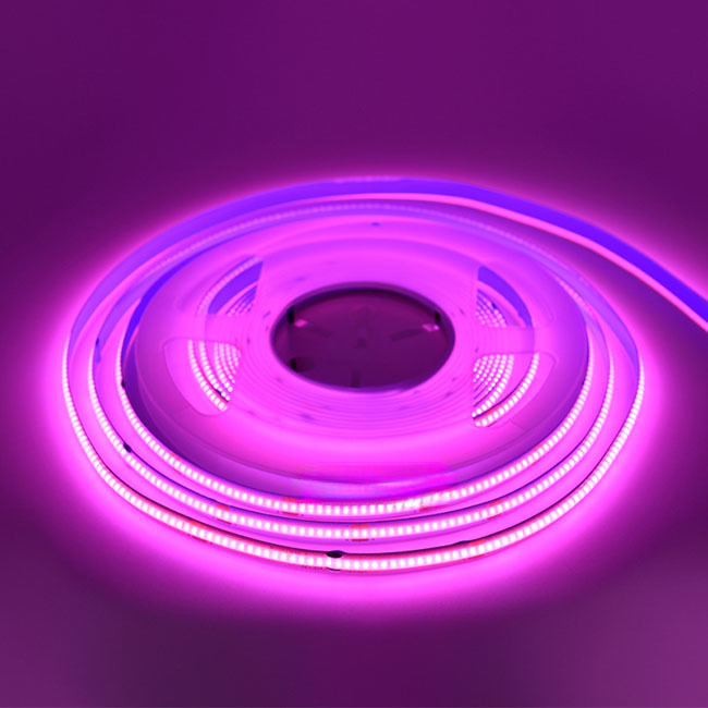 800lm/m Luminous Flux Cob Light Strip Dimmable 24v Single Color 8mm Warranty 3 Years