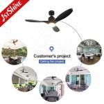 Plastic DC Motor Save Energy Ceiling Fan Lights With 6 Speed Remote Control