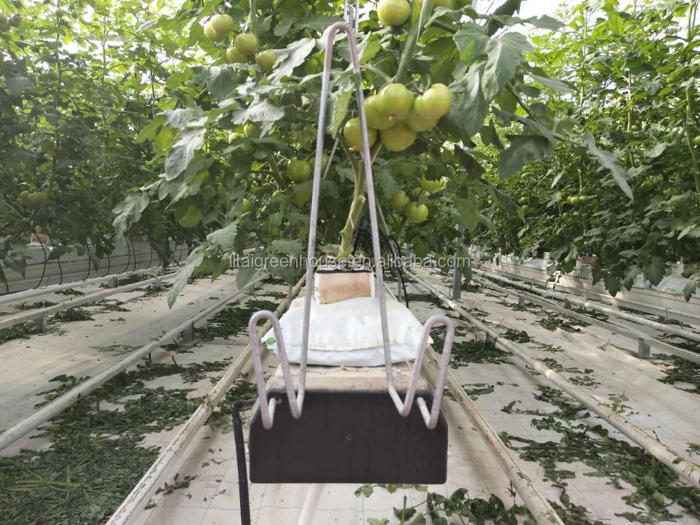 Food Grade PVC Planting Trough for Large-Scale Hydroponic Greenhouse Growing System