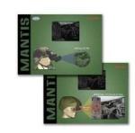 PLASTIC LENTICULAR 3D lenticular flip printing business offset printing card
