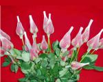 EPE Foam plastic roses net Making Machinery