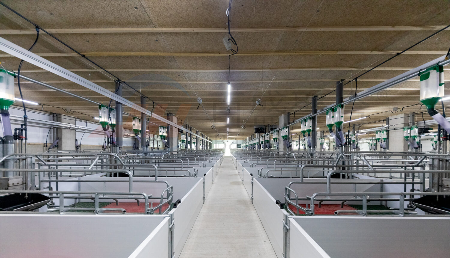 ISO9001 2008/CE/BV Certified Pig Farming Business Plan for Customized Cages and Pen