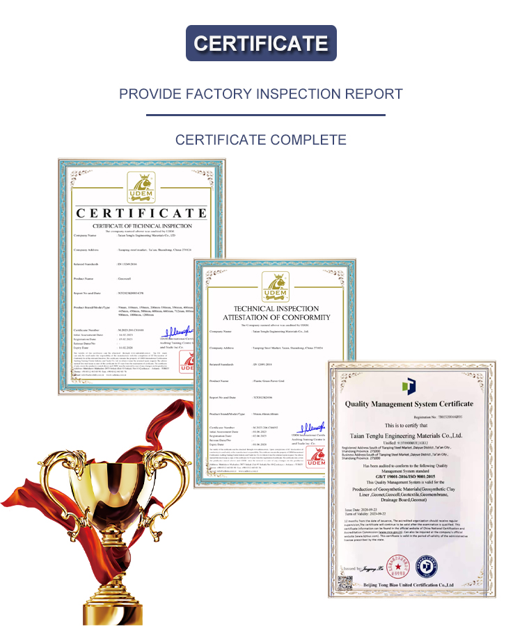 CE/ISO9001 ISO14001 Certified HDPE Plastic Drainage Board for Drainage and Cost Savings
