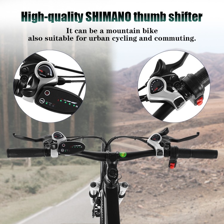 25km/H Long Range Electric City Road Bike 750w High Power Two Wheel