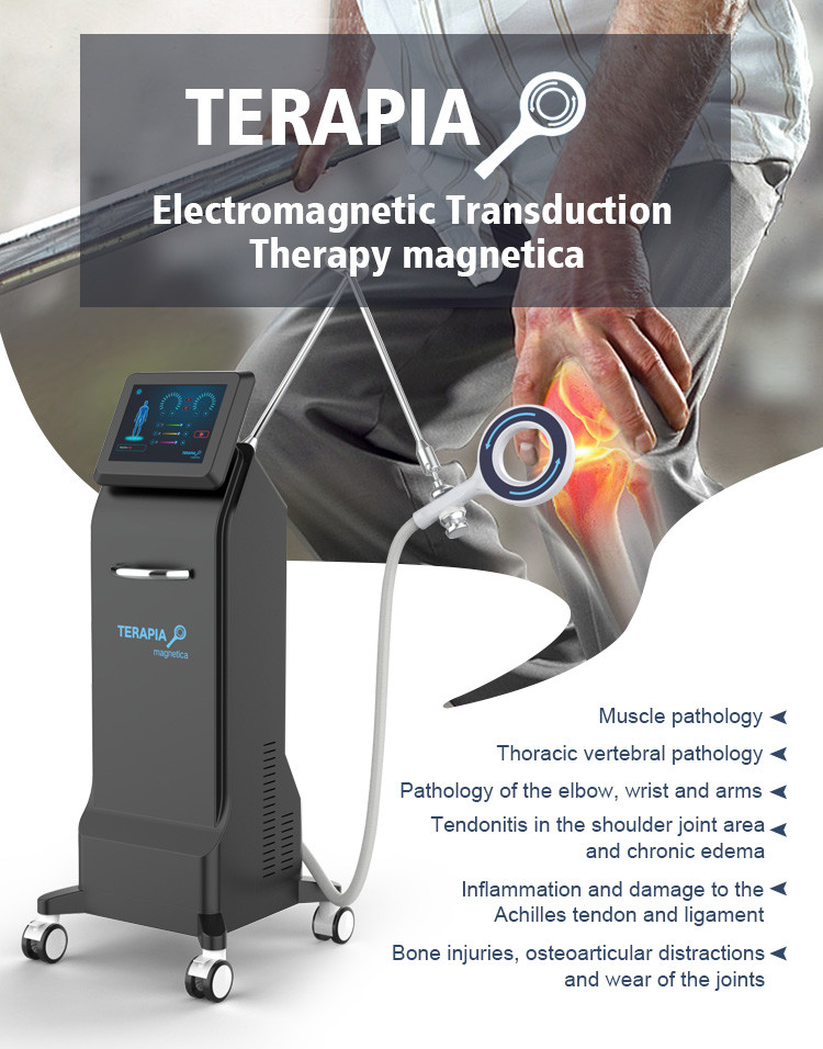 Pain Free Medical EMS Electrical Muscle Stimulation Machine For Chronic Joint Pain