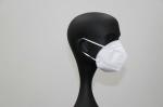 FFP2 Fold Flat Mask
