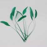 8-10 inch Chicken Feather Party Decoration Stripped Coque Create a Stunning