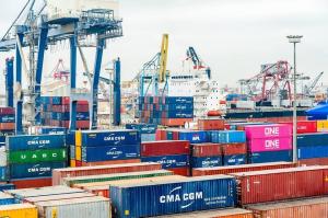 Quality International Sea Freight Forwarder From Shanghai To Los Angeles wholesale