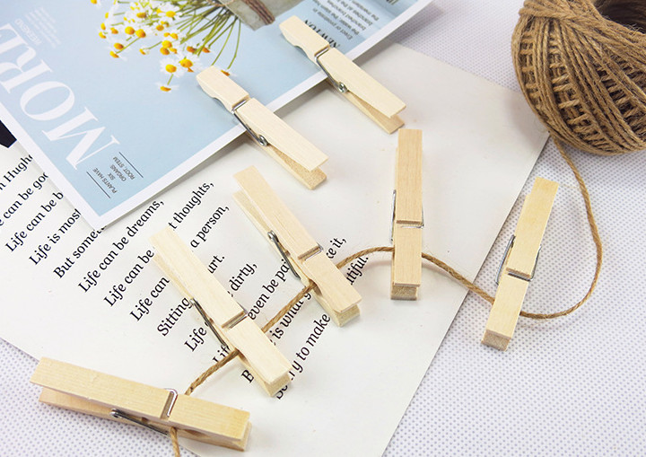 Natural Wood Color Solid Wooden Clothpins Clips Pegs with Animal Fruit Christmas 25 X 3mm