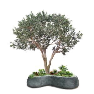 Quality Custom Fiberglass Olive Artificial Landscape Trees Garden Decoration wholesale