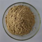 Anti-bacterial Peppermint Extract Halal In Bulk Stock