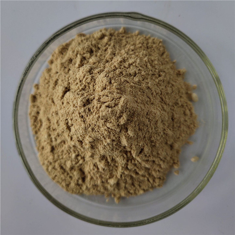 health care product nutrition supplement fucoxanthin powder