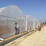 Plastic Film Vegetables Growing Agricultural 200 Micron PE Film Multispan