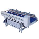 Mango Brush Cleaning Machine for Pear Apple Carrot Mud Cleaning 3000*1250*1350