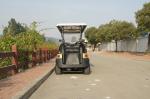 Smooth Ride 6 Passenger Electric Golf Buggy with Trojan Battery