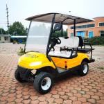 40mph Electric EV 4 Seater Golf Cart Buggies Car ODM