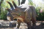 Attractive Animatronic Spinosaurus Amusement Park Display Life Size
