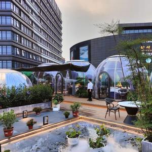 Quality Geodesic Dome Glamping Tent Luxury PC Dome House Outdoor Bubble Tents wholesale