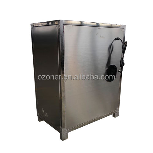 Energy Mining Industry Electrolytic Water Ozonator for Clean and Safe Water Supply